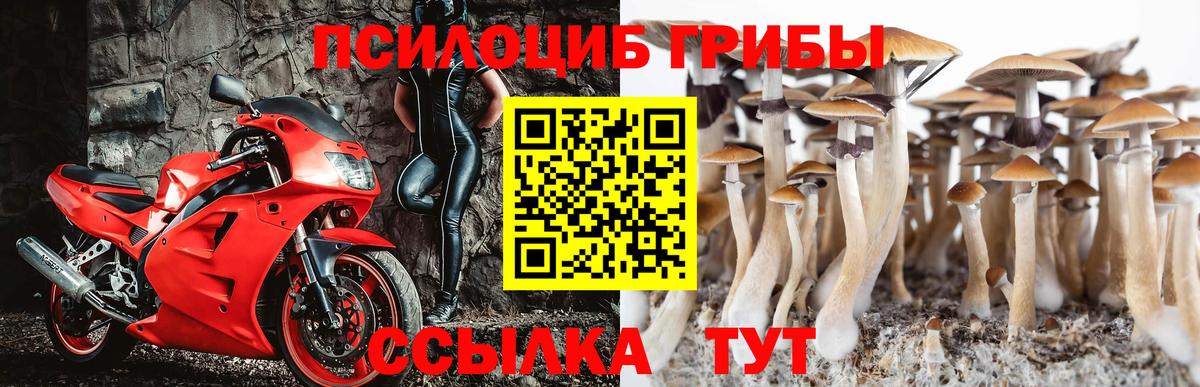 Псилоцибиновые грибы мицелий Можайск